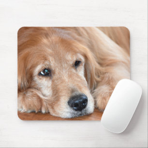 Golden Retriever Closeup Mouse Mat