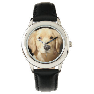 Golden Retriever Closeup Watch