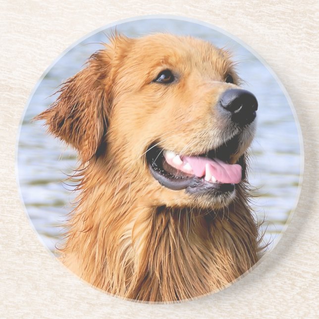 Golden Retriever Coaster (Front)