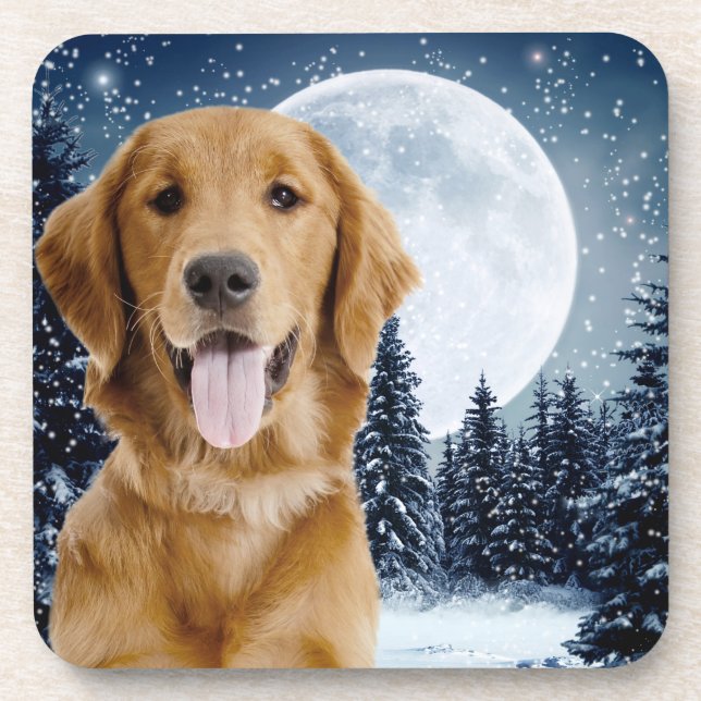 Golden Retriever Coaster Set (Front)
