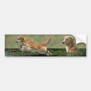Golden Retriever collage bumper sticker