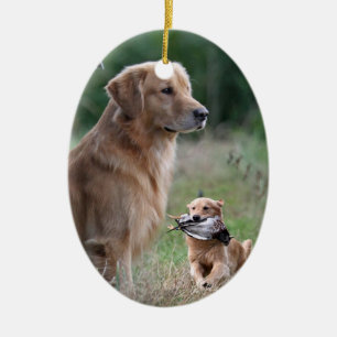 Golden Retriever collage ornament