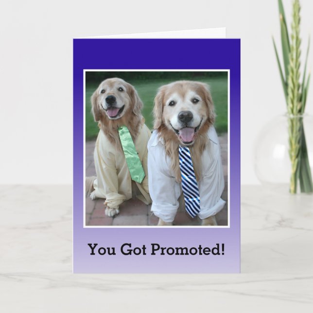 Golden Retriever Congratulations on Your Promotion Card (Front)