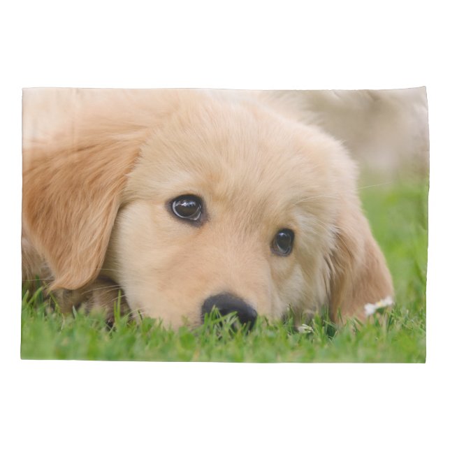 Golden Retriever Cute Dog Puppy Dream Pillow-Cover Pillowcase (Back)