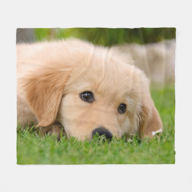 Golden Retriever Cute Puppy Dreaming,  cosy Fleece Blanket (Front (Horizontal))