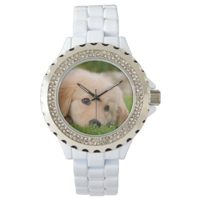 Golden Retriever Cute Puppy Dreaming Portrait girl Watch (Front)