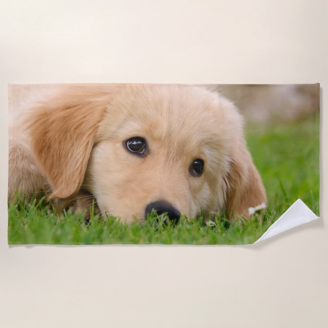 Golden Retriever Cute Puppy Dreams Dog Head Photo Beach Towel (Front)