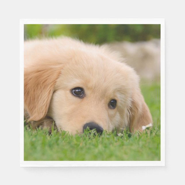 Golden Retriever Cute Puppy Dreams Dog Head Photo Napkin (Front)