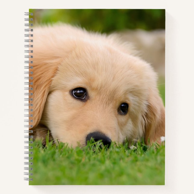 Golden Retriever Cute Puppy Dreams Dog Head Photo Notebook (Front)