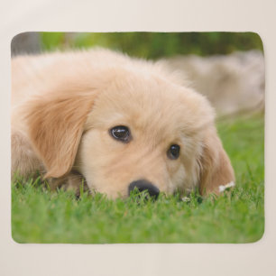 Golden Retriever Cute Puppy Dreams Dog Head Photo Sherpa Blanket