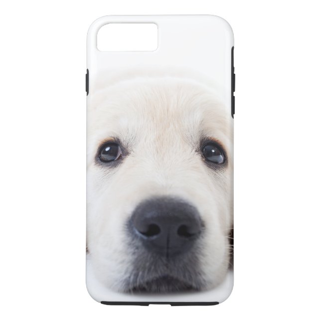 Golden retriever cute puppy lying down Case-Mate iPhone case (Back)