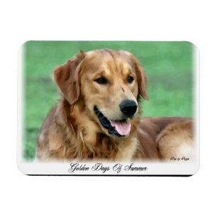 Golden Retriever Days of Summer Magnet