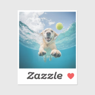 Golden Retriever Diving Tennis Ball Underwater