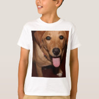 Golden Retriever Dog #5