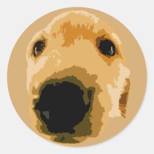 GOLDEN RETRIEVER DOG BROWN CLASSIC ROUND STICKER