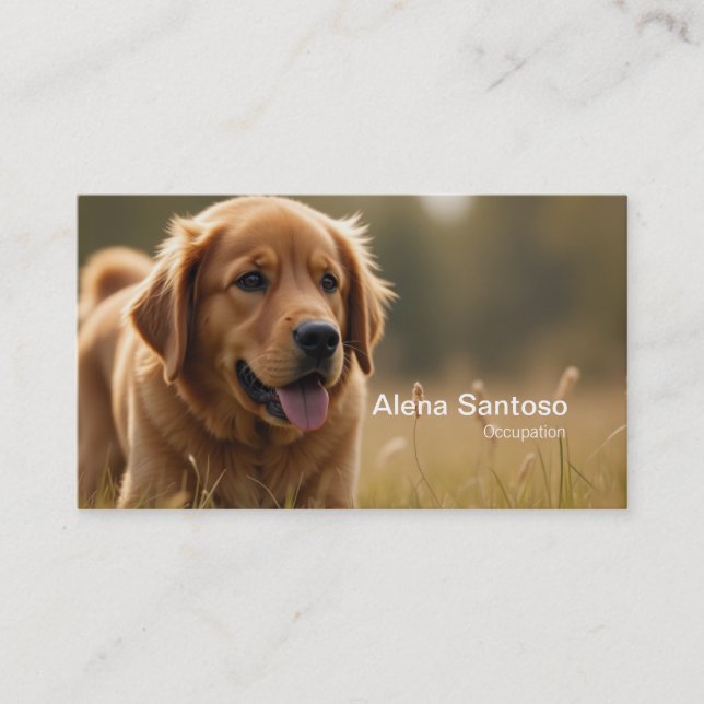 Golden Retriever Dog Business Card (Front)