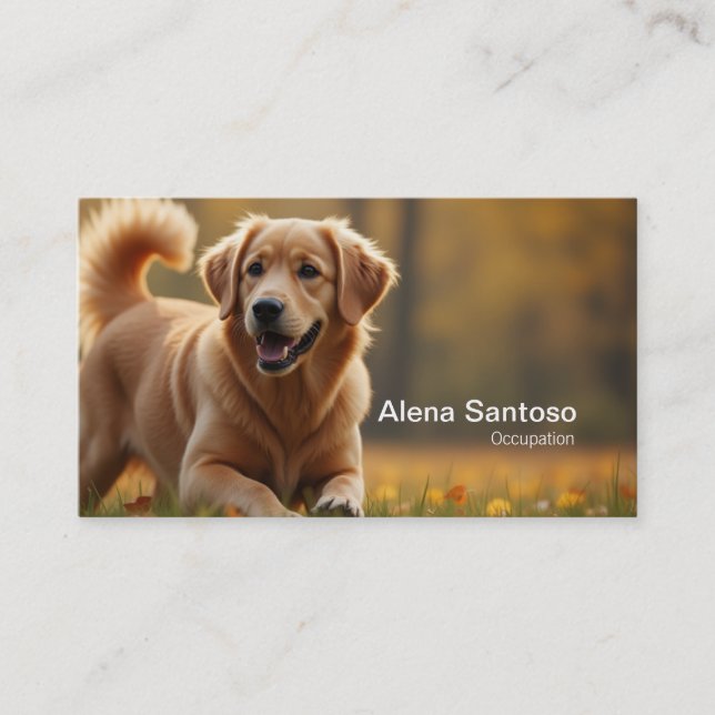 Golden Retriever Dog Business Card (Front)