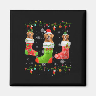 Golden Retriever Dog Christmas Socks Lights Puppy  Magnet