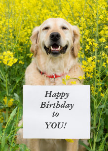 golden_retriever_dog_cute_custom_birthda