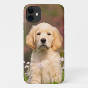 Golden Retriever Dog Cute Goldie Puppy Portrait - iPhone 11 Case