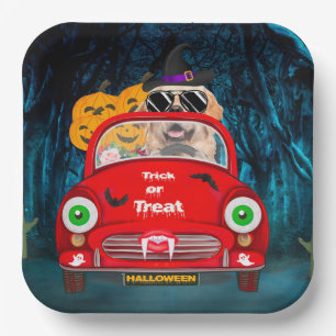 Golden Retriever Dog Driving Car Scary Halloween Paper Plate