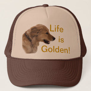 Golden Retriever Dog Hat