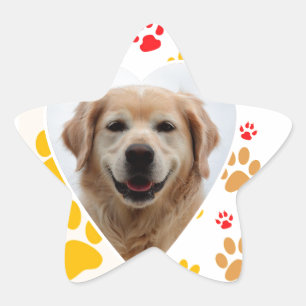 Golden Retriever Dog Hearts Paws Print Star Sticker