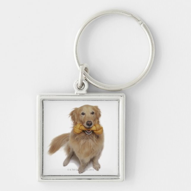 Golden Retriever Dog holding bone in mouth Key Ring (Front)