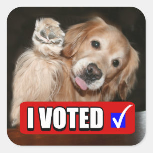 Golden Retriever Dog I Voted Election Day Square Sticker