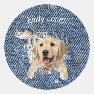 Golden Retriever dog in blue denim hole Classic Round Sticker