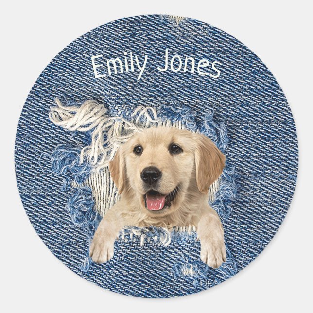 Golden Retriever dog in blue denim hole Classic Round Sticker (Front)