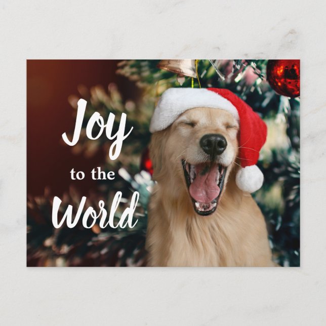 Golden Retriever Dog Joy to the World Christmas Holiday Postcard (Front)