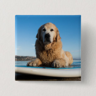 Golden Retriever Dog Laying On A Paddle Board 15 Cm Square Badge