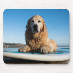 Golden Retriever Dog  Laying On A Paddle Board Mouse Mat