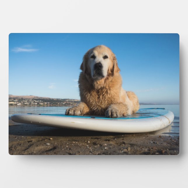 Golden Retriever Dog  Laying On A Paddle Board Plaque (Front)