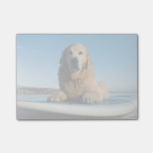 Golden Retriever Dog Laying On A Paddle Board Post-it Notes