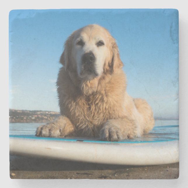 Golden Retriever Dog  Laying On A Paddle Board Stone Coaster (Front)