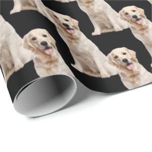 Golden retriever dog on black wrapping paper