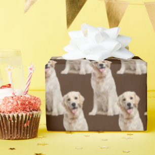 Golden retriever dog on brown wrapping paper