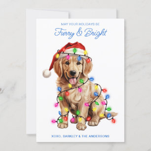 Golden Retriever Dog Personalised Furry & Bright  Holiday Card