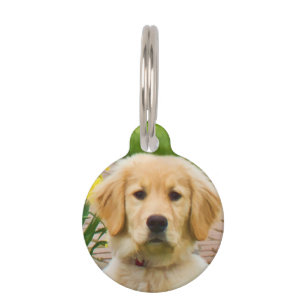 Golden Retriever Dog Pet Tag