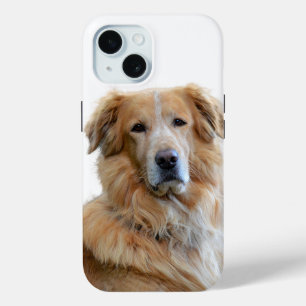 Golden Retriever Dog Photo iPhone 15 Case