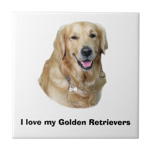 Golden Retriever dog photo portrait Tile (Front)