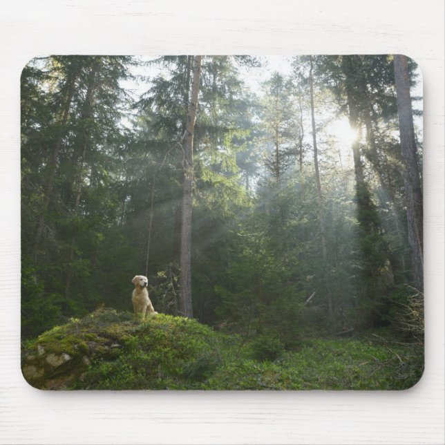 Golden Retriever Dog | Pine Woodland Mouse Mat (Front)