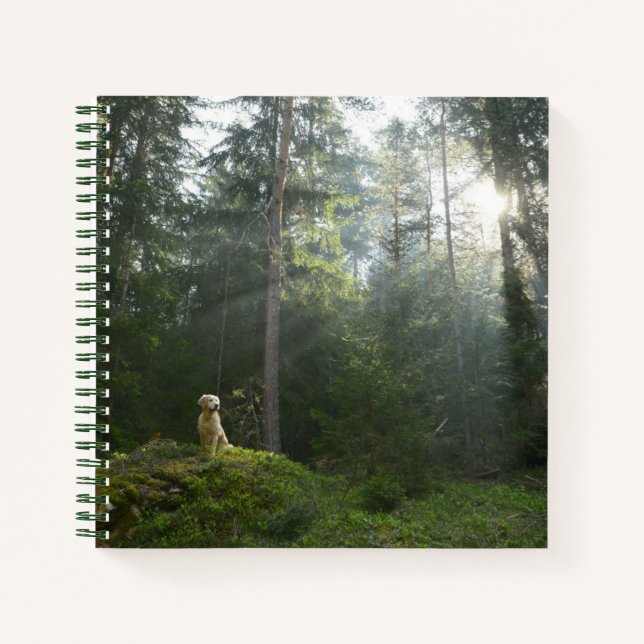 Golden Retriever Dog | Pine Woodland Notebook (Front)