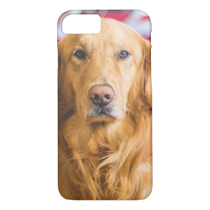 Golden Retriever dog portrait iPhone 8/7 Case