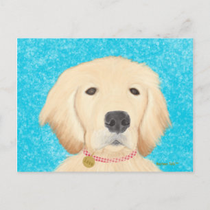Golden Retriever Dog Postcard Blue Water