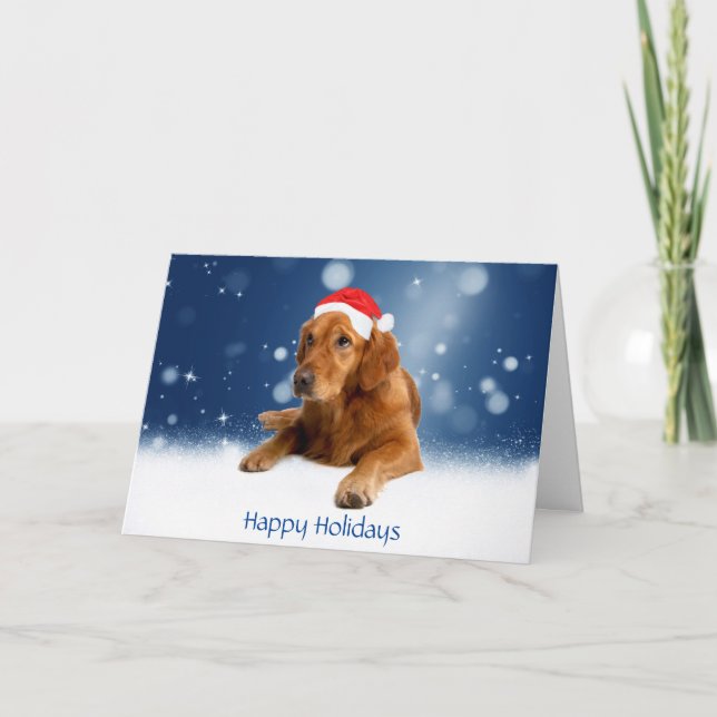 Golden Retriever dog stars Snow Christmas Card (Front)