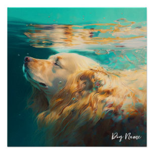 Golden Retriever dog swimming in water 004 Poster