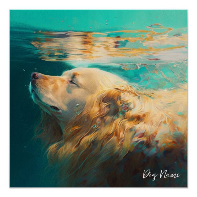 Golden Retriever dog swimming in water 004 Poster (Front)